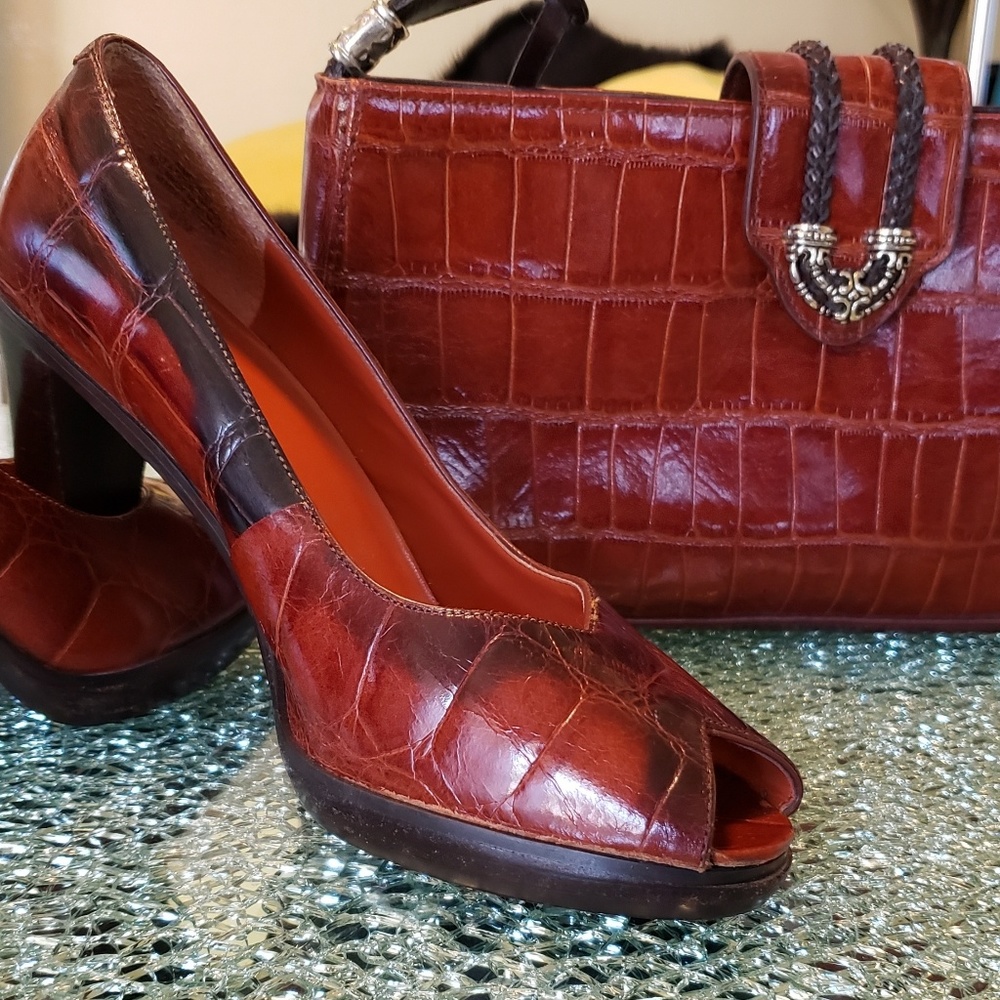 Bundle New MC purse/nine west shoe4